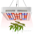 Full spectrum led grow light panel 600W